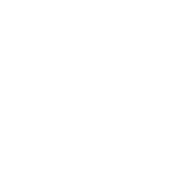 Real-Time Data Processing