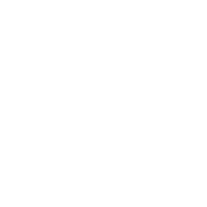 NetSuite Health & Performance Review